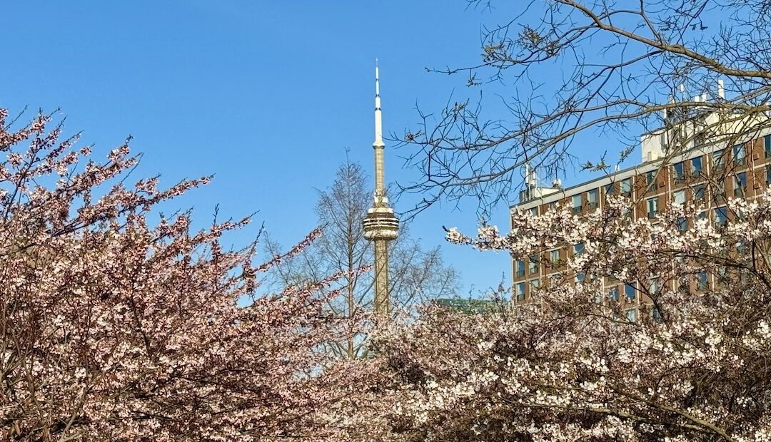 Where to Find Green Space in West Queen West