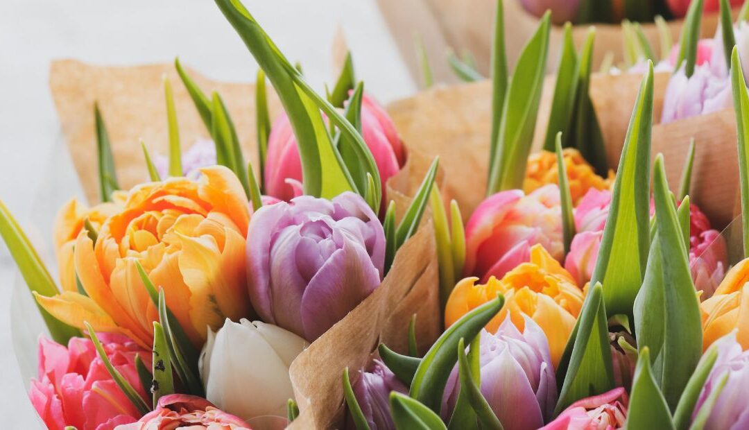 Where to Buy Mother’s Day Flowers in West Queen West, Toronto